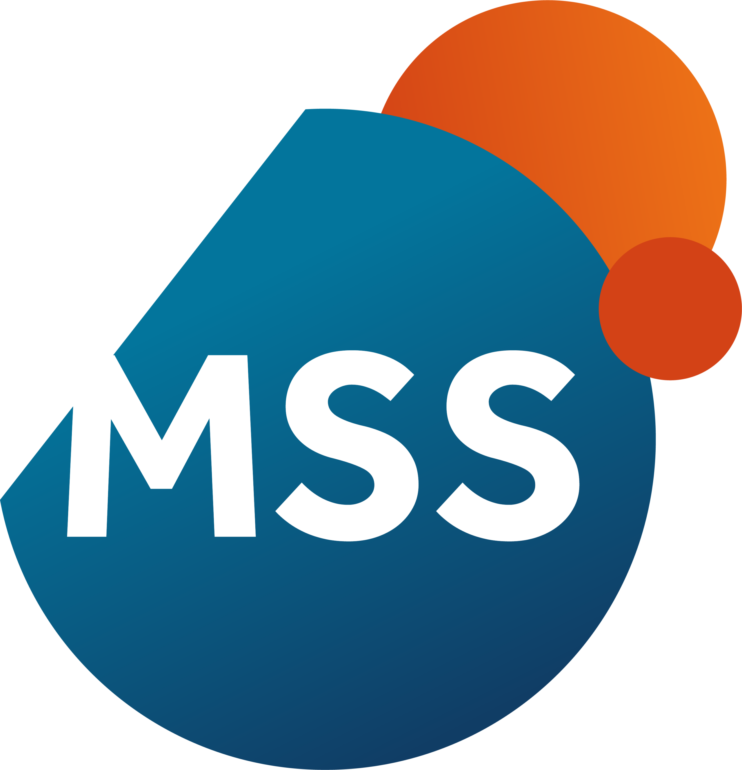 Logo of MSS