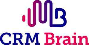 Logo | CRM Brain Brand Colours