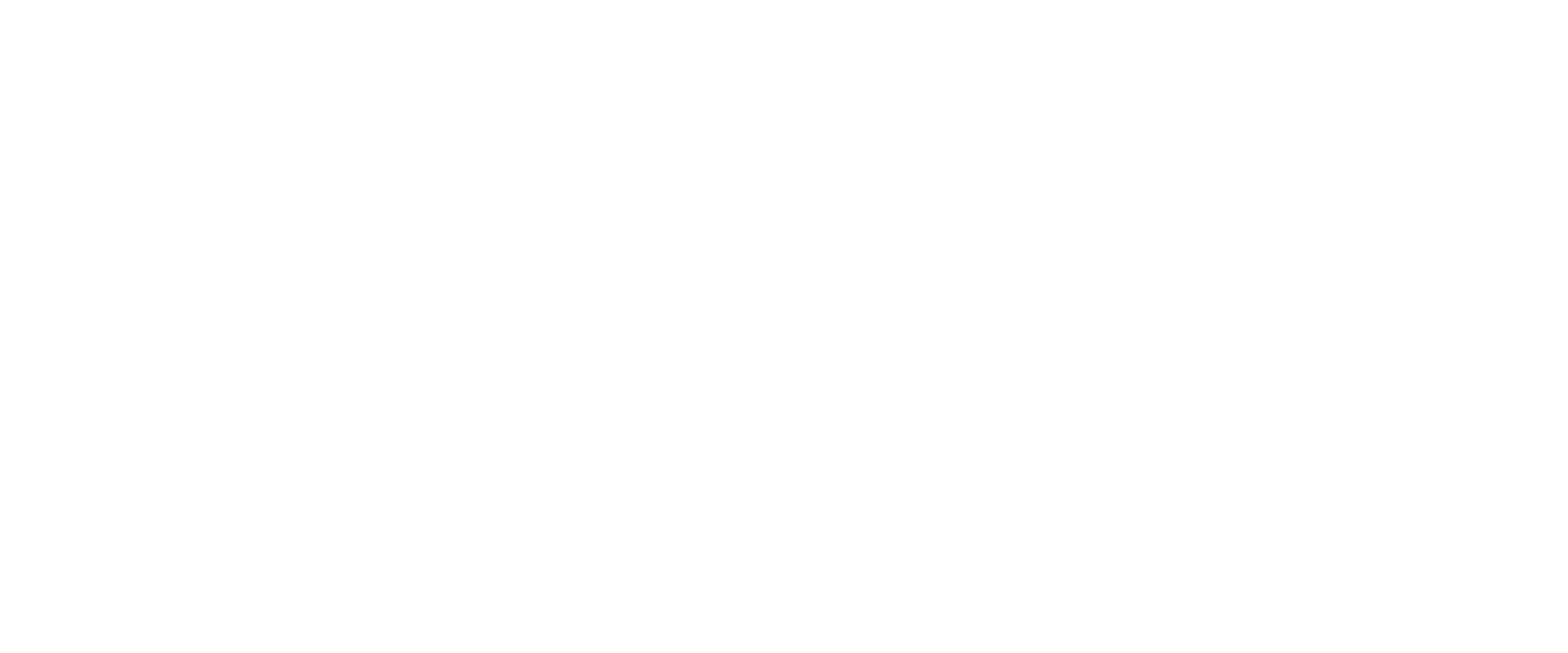Primis logo white